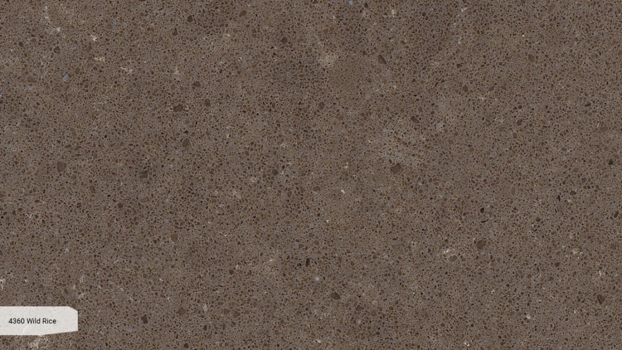 Wild Rice 4360 Caesarstone005_Granit.in.ua