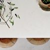 Frosty Carrina 5141 Caesarstone006_Granit.in.ua