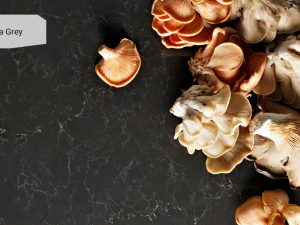 Piatra Grey 5003 Caesarstone003_Granit.in.ua