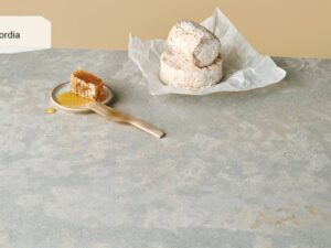 Primordia 4043 Caesarstone003_Granit.in.ua