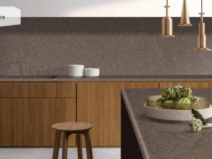 Wild Rice 4360 Caesarstone003_Granit.in.ua