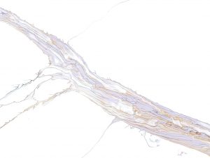 7030 Калакатта Шенонсо avant Quartz